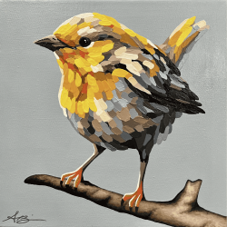 “Marigold” yellow warbler; 12”x12”; $350 AVAILABLE MARCH 12