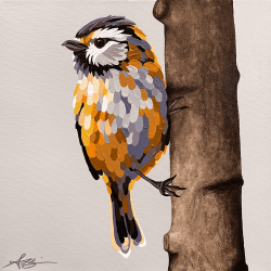 “Nora” chickadee; 12”x12”; $350 AVAILABLE MARCH 12