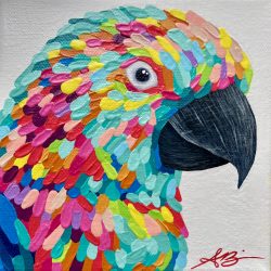 “Indie” parrot; 6”x6”; SOLD